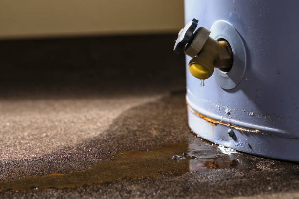 Carpet water damage restoration in GA
