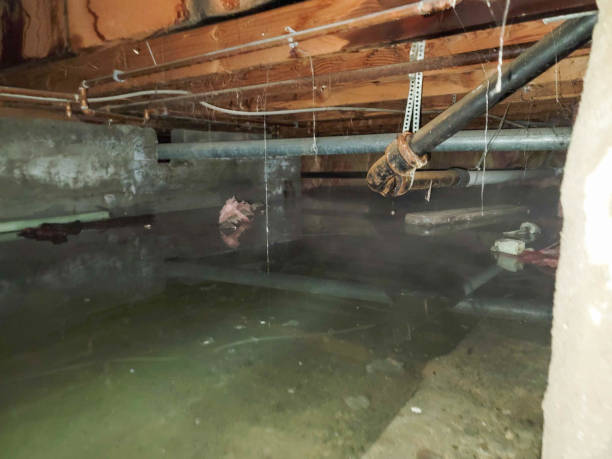 Best 24/7 water damage repair  in Hiram, GA