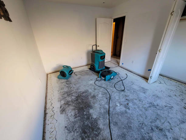 Best Water damage cleanup near me  in Hiram, GA