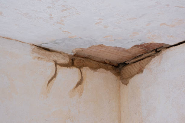 Best Carpet water damage restoration  in Hiram, GA