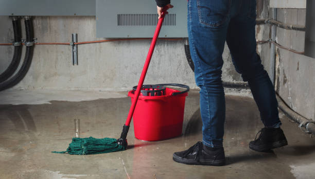 Best Carpet water damage restoration  in Hiram, GA