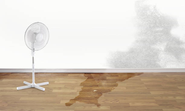 Best Fire Damage Restoration  in Hiram, GA