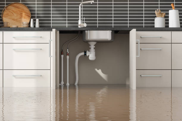 Best Water damage contractors near me  in Hiram, GA