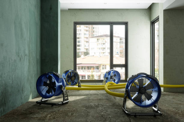 Best Local water damage restoration  in Hiram, GA